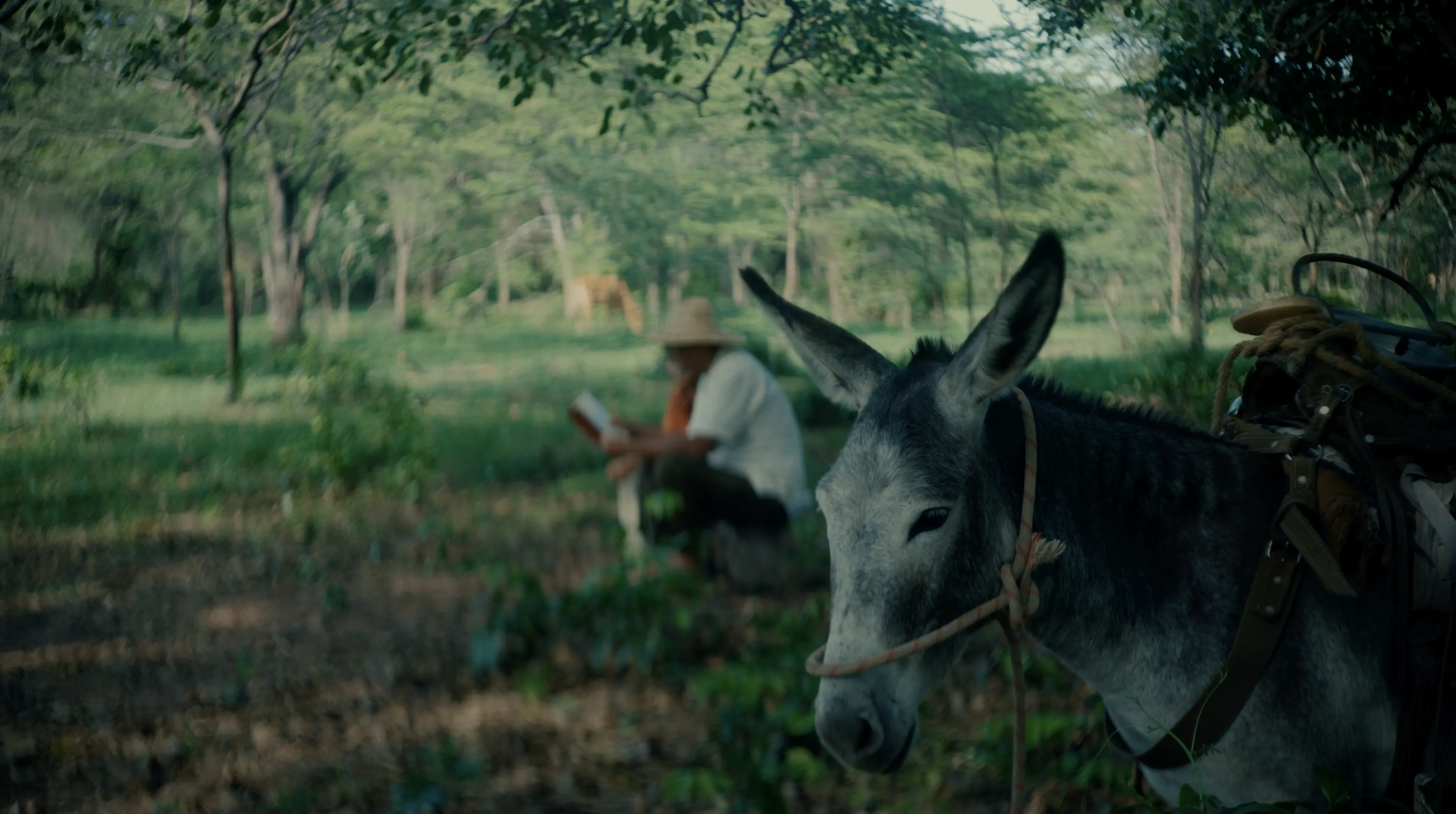 Still de ficción